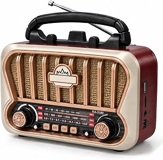 Rádio Retrô Portátil Bluetooth Recarregável AM FM SW com USB, Cartão de Memória e AUX, Vermelho com Dourado