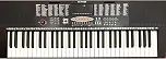 Teclado Musical Profissional 61 Teclas LCD Timbres e Ritmos