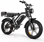 Bicicleta Elétrica Adulto 1000W, 48V 20Ah, Bike Elétrica 32 MPH